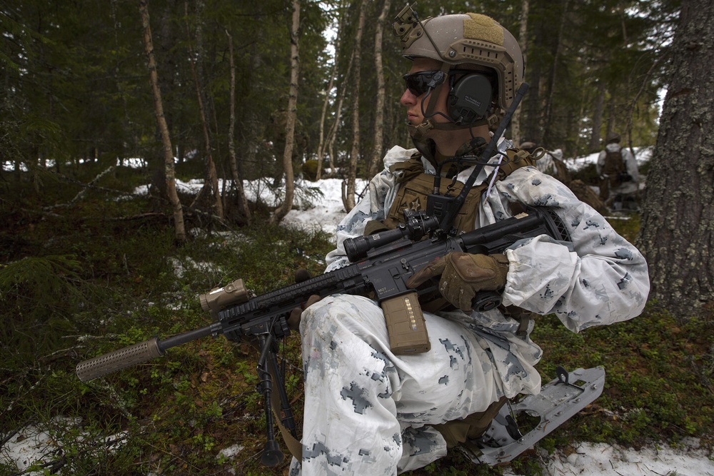 Norwegian Winter Warfare Exercise: Live-Fire Squad &amp; Platoon Attack