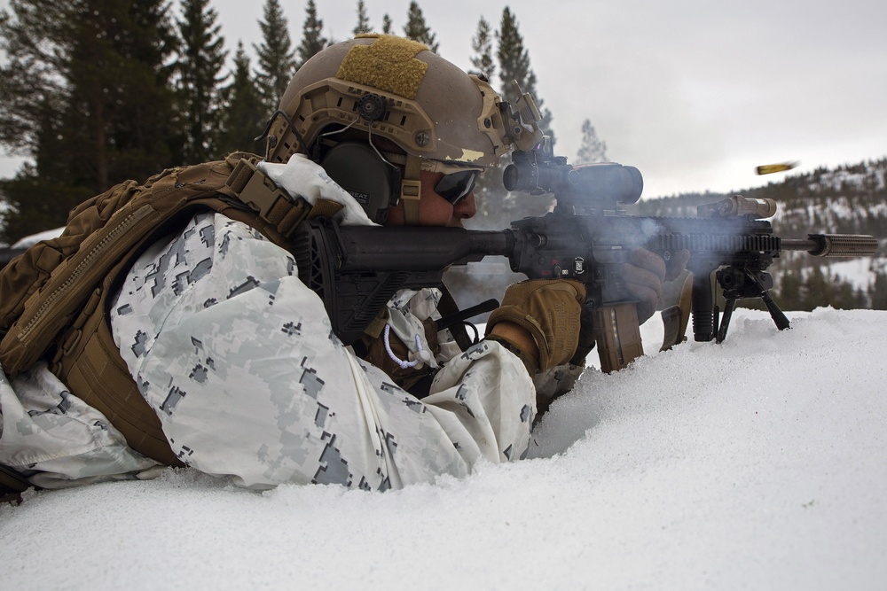 Norwegian Winter Warfare Exercise: Live-Fire Squad &amp; Platoon Attack