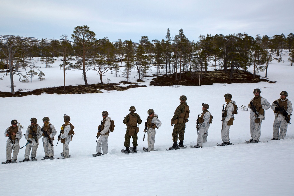 Norwegian Winter Warfare Exercise: Live-Fire Squad &amp; Platoon Attack