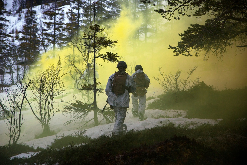 Norwegian Winter Warfare Exercise: Live-Fire Squad &amp; Platoon Attack