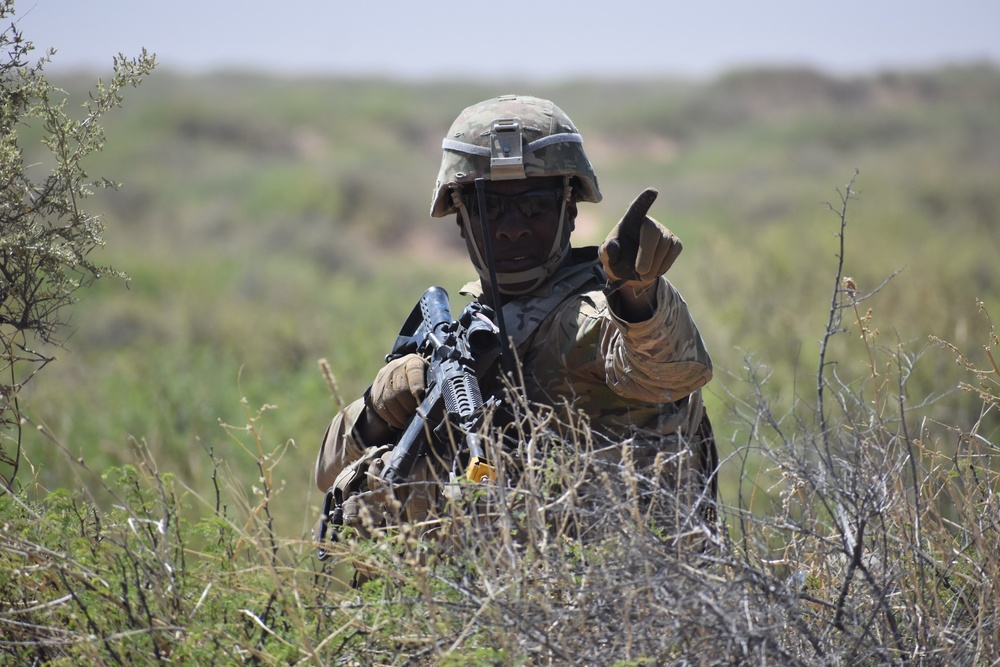 Regiment defends position with tanks, Bradleys