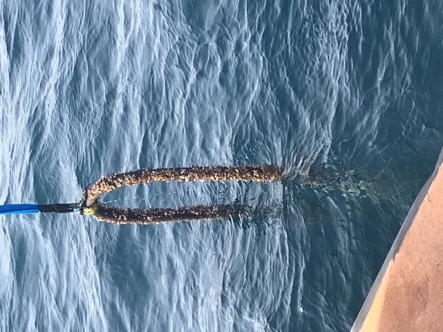 Severed power cables in Straits of Mackinac capped