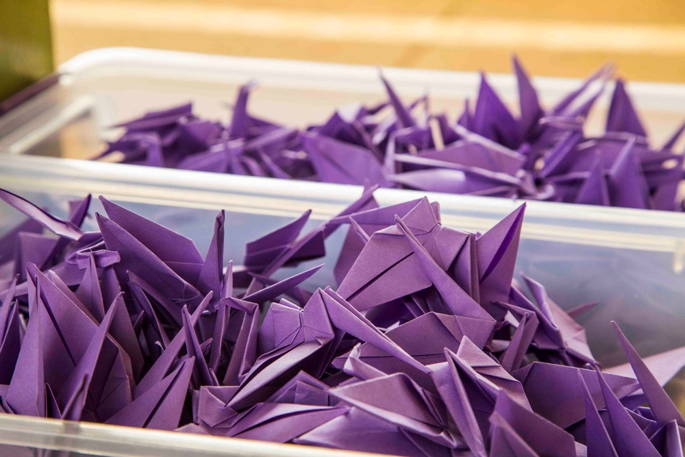 1000 Paper Crane donation
