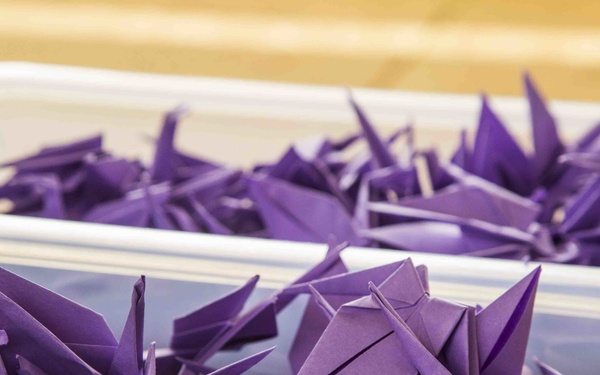 1000 Paper Crane donation