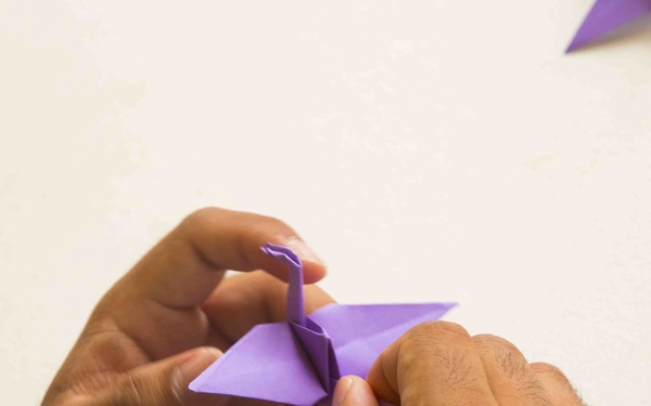 1000 Paper Crane donation