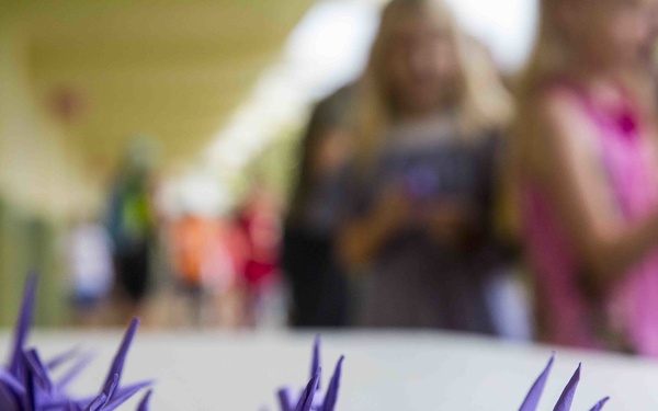 1000 Paper Crane donation