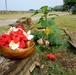 A HALE FOR THE KEIKI – A HOME FOR THE CHILDREN