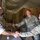 155th ABCT participates in security force advisor training