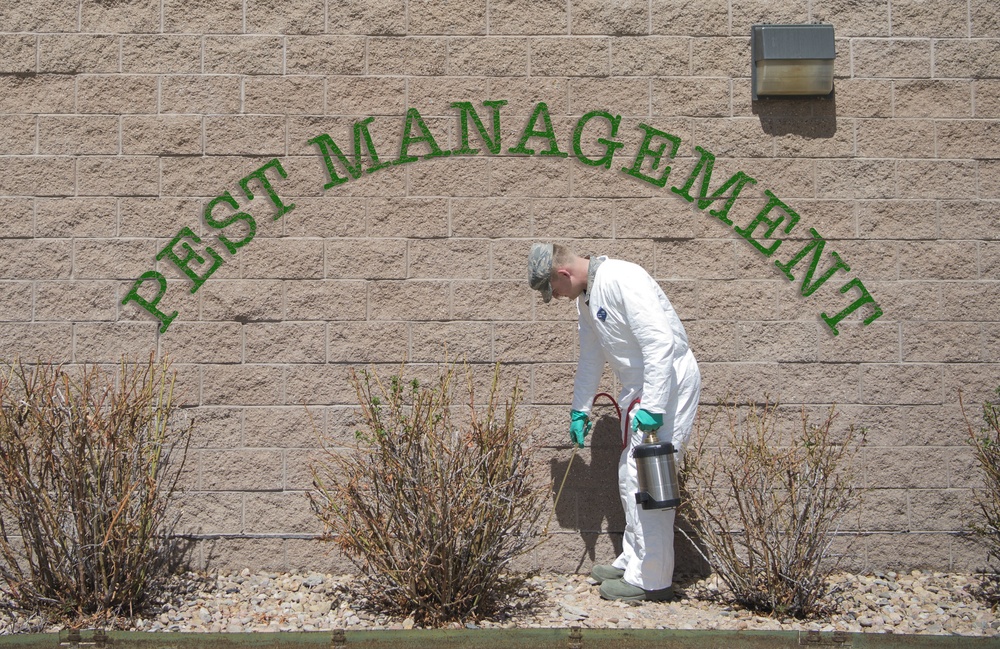 Pieces of Buckley: Pest Management