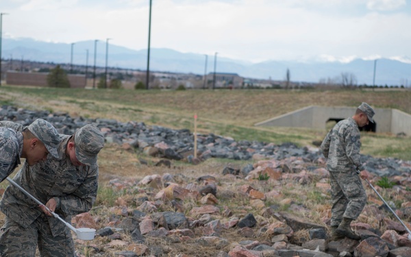 Pieces of Buckley: Pest Management