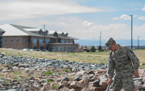 Pieces of Buckley: Pest Management