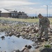 Pieces of Buckley: Pest Management