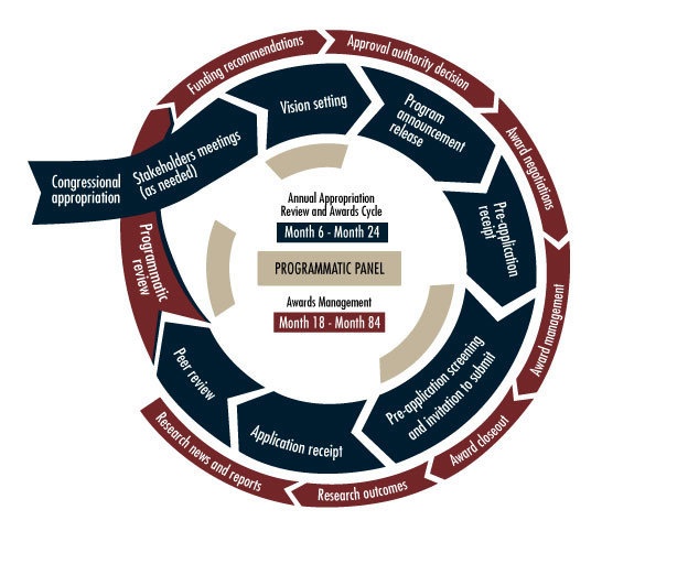 THE CDMRP PROCESS