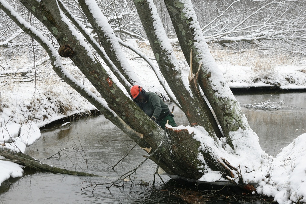 2015 tree removal work on Fort McCoy's South Post