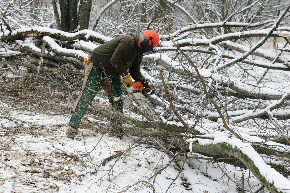 2015 tree removal work on Fort McCoy's South Post