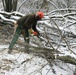 2015 tree removal work on Fort McCoy's South Post