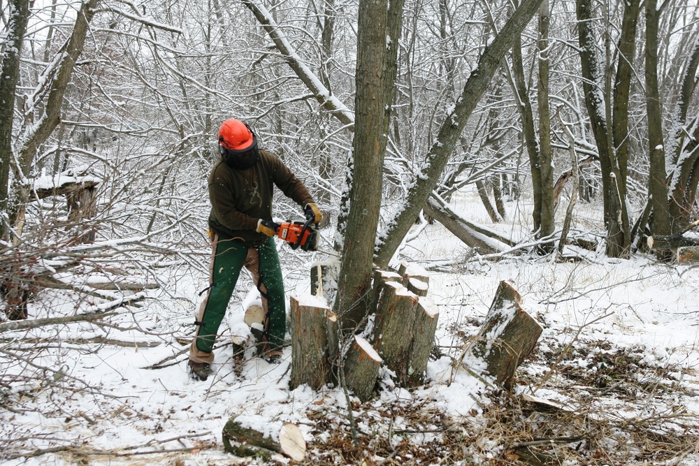 2015 tree removal work on Fort McCoy's South Post