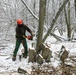 2015 tree removal work on Fort McCoy's South Post