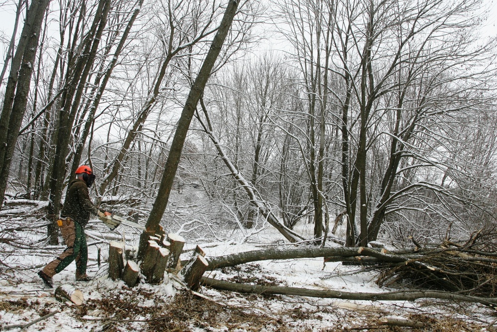 2015 tree removal work on Fort McCoy's South Post