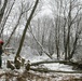 2015 tree removal work on Fort McCoy's South Post