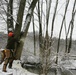 2015 tree removal work on Fort McCoy's South Post