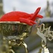 More than 800 attend 6th Annual Crawfish Cook-Off