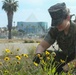 MCAS Miramar Marines conduct basewide cleanup