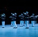 Virginia International Tattoo