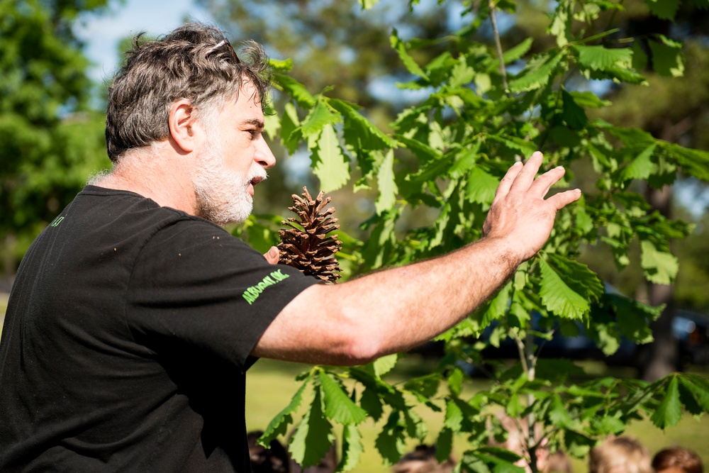 This is how the pinecone do