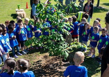 Circle of life around the circle of nature