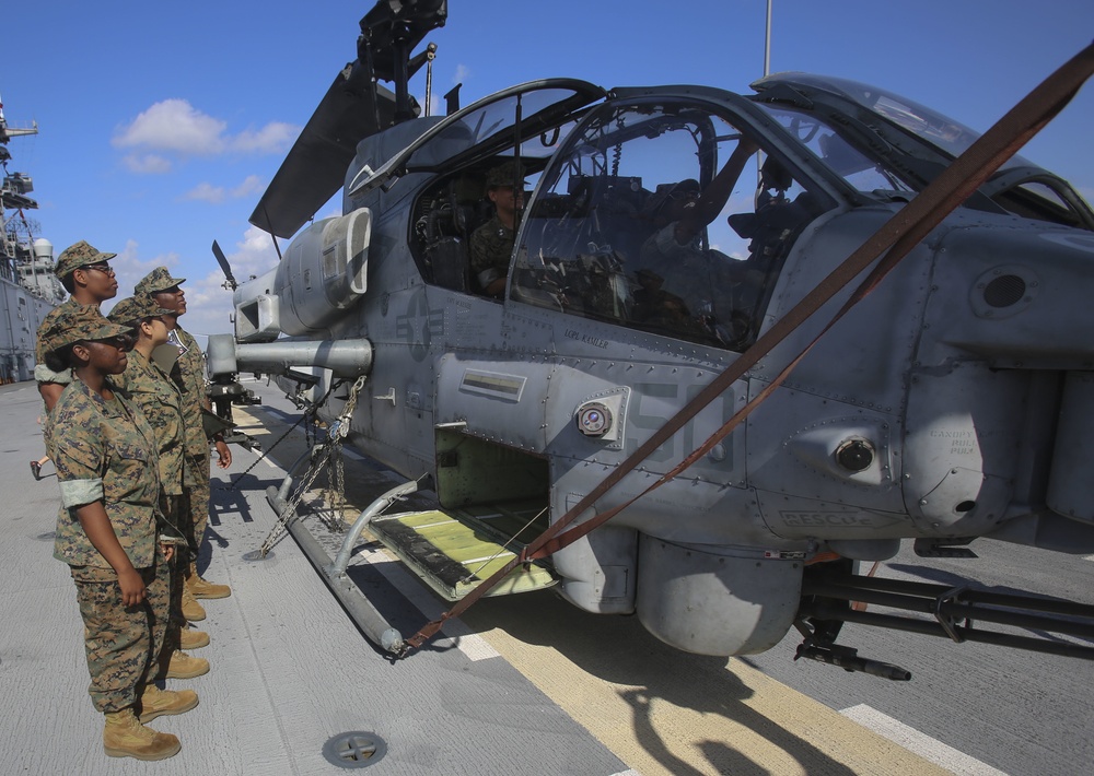 U.S. Marine Corps Displays in Florida