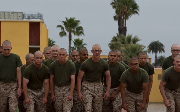 Mike Company - Combat Fitness Test