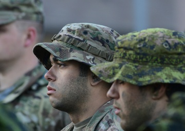 Exercise Cougar Rage 18