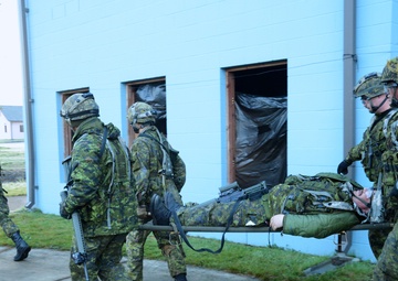 Exercise Cougar Rage 18