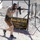 Army private wins marksmanship competition in Las Vegas