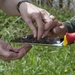 Earth Day 24 April 2018