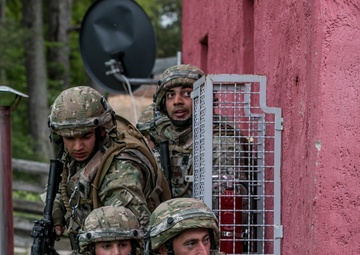 Georgian, 2nd ABCT Soldiers Work Side-By-Side at Hohenfels Training Area