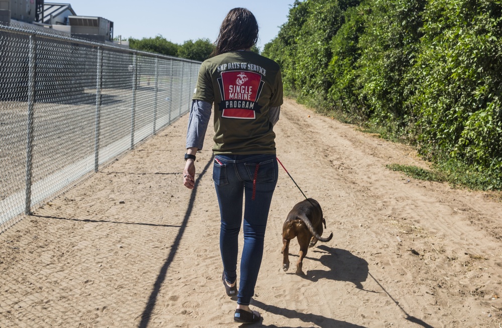 MCAS Yuma Days of Service: Marines Serving the Community