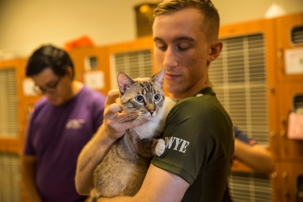 MCAS Yuma Days of Service: Marines Serving the Community