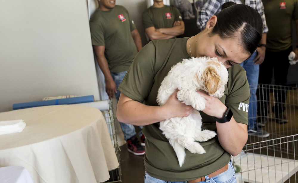 MCAS Yuma Days of Service: Marines Serving the Community