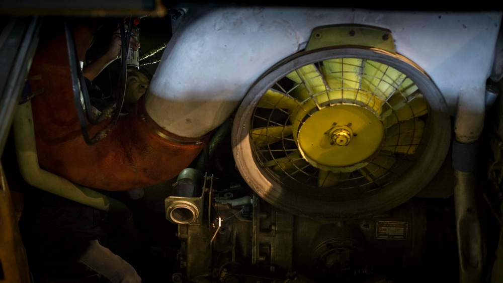 In the heart of the AAV