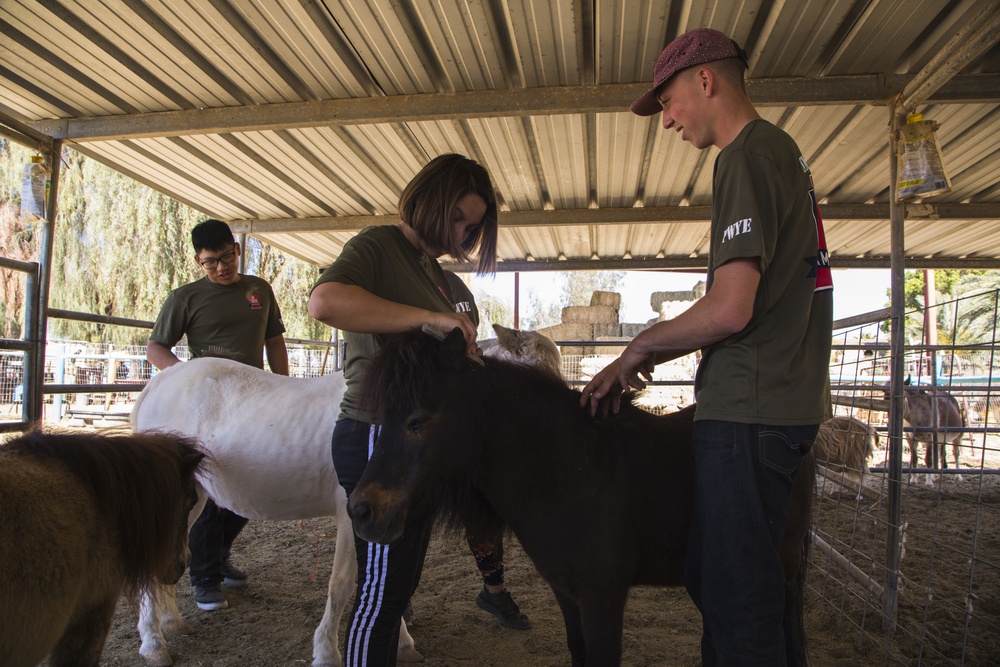 MCAS Yuma Days of Service: Marines Serving the Community