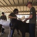 MCAS Yuma Days of Service: Marines Serving the Community