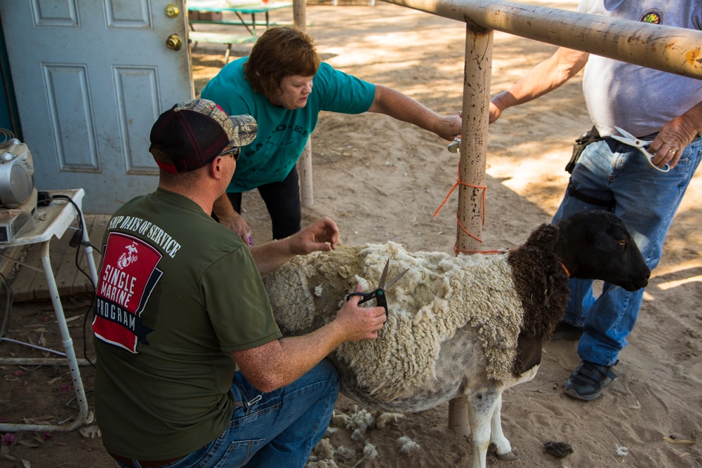 MCAS Yuma Days of Service: Marines Serving the Community