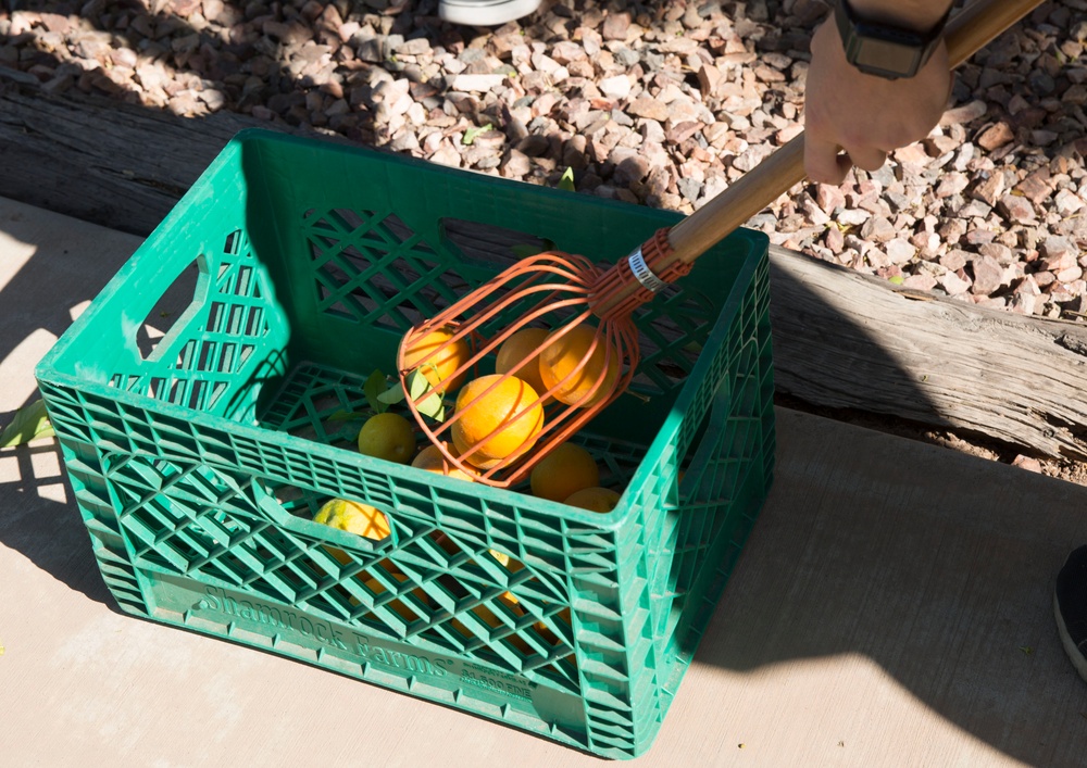 MCAS Yuma Days of Service: Marines Serving the Community