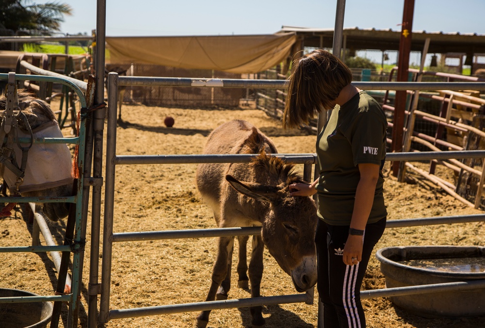 MCAS Yuma Days of Service: Marines Serving the Community