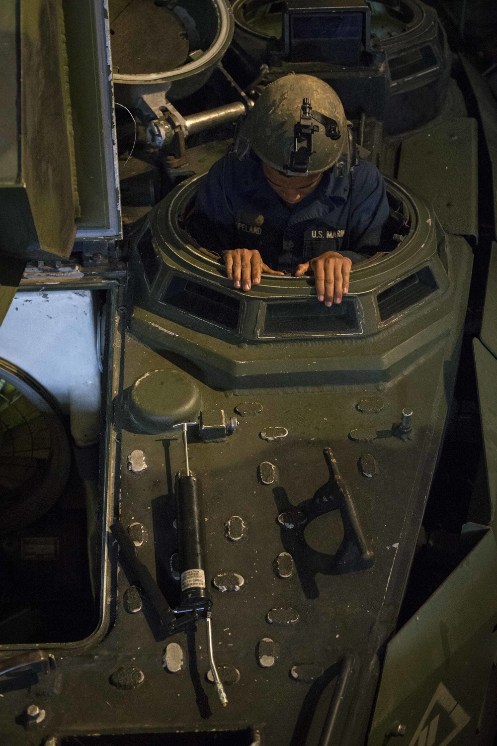 In the heart of the AAV