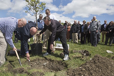 Arbor Day at NUWC Newport features memorial tree plantings, field of evergreens