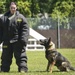 Military Working Dogs demonstrate capabilities