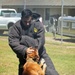 Military Working Dogs demonstrate capabilities